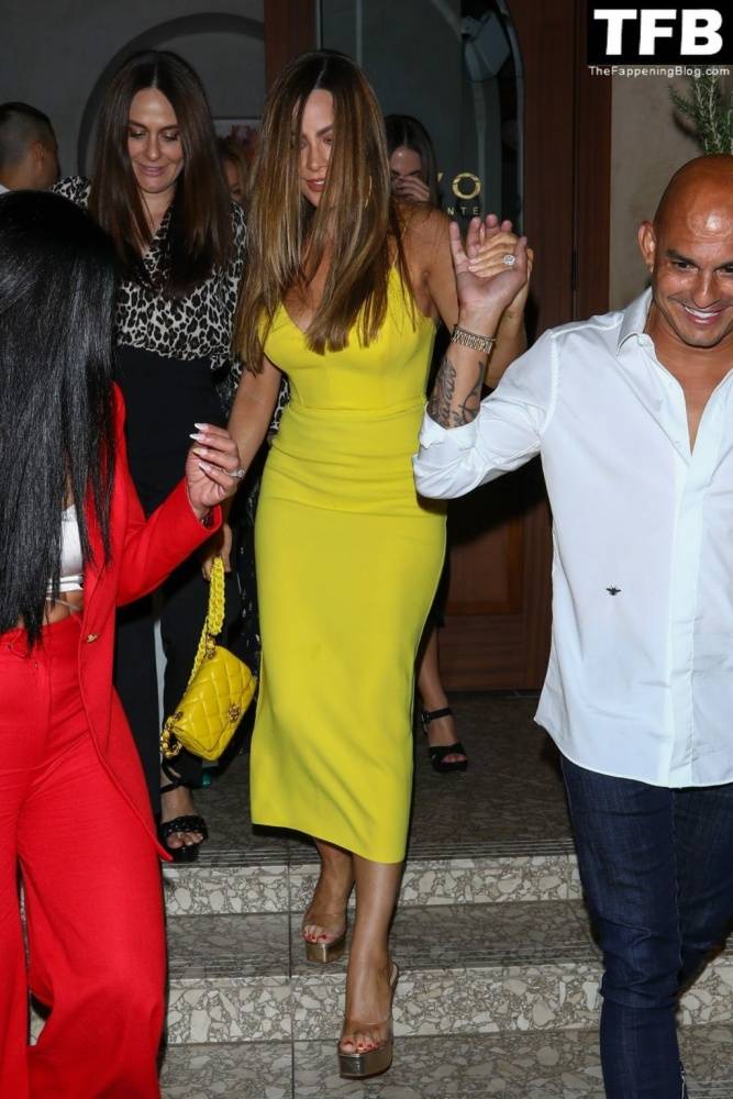 Sofia Vergara Celebrates Her 50th Birthday with Friends and Family in LA - #4